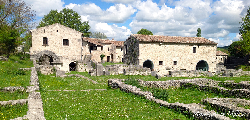 sepino